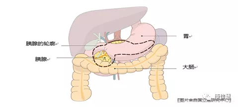 胰腺癌治療新希望~解讀質(zhì)子治療先鋒：日本筑波大學(xué)附屬醫(yī)院質(zhì)子治療中心~