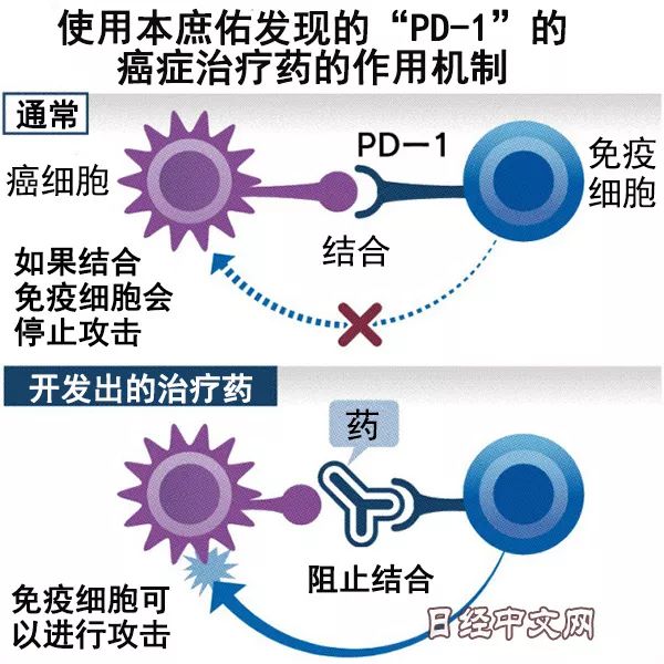 日本精密體檢